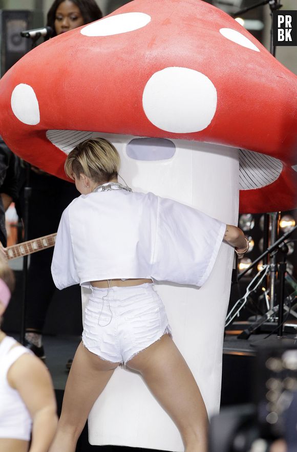 Miley Cyrus : en culotte pour son concert au NBC's Today Show