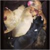Nina Dobrev et Ian Somerhalder ensemble pour la naissance des chiots de Nietzsche