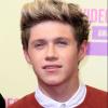 Niall Horan : le One Direction en pince pour Katy Perry