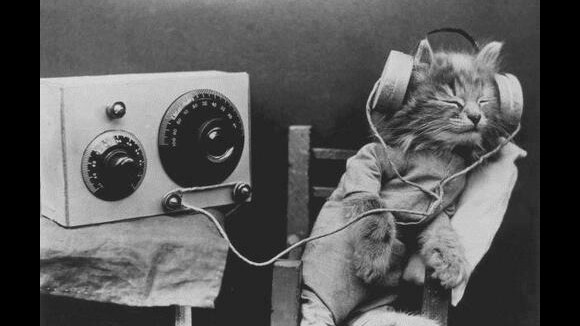 Lady Gaga, The Weeknd, Metronomy, Lily Allen... Playlist #22 : dans les oreilles de la rédac cette semaine