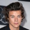 Harry Styles : Kendall Jenner, sa nouvelle petite-amie ?