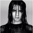 Kendall Jenner : Harry Styles sous son charme ?