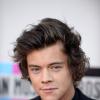 Harry Styles sur le tapis rouge des American Music Awards 2013 à Los Angeles, le 24 novembre 2013