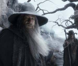 Bilbo le Hobbit 2 - la désolation de Smaug : Un film bien plus épique et surprenant que le 1er