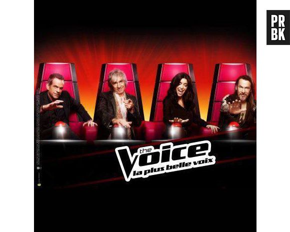 The Voice 3 débarque le 11 janvier sur TF1