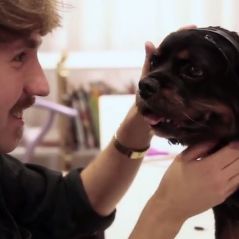 No More Woof : le traducteur chien-anglais pour discuter avec votre toutou