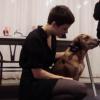 No More Woof : le premier traducteur du chien à l'anglais pour tailler une bavette avec son animal de compagnie