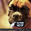 No More Woof : le premier traducteur du chien à l'anglais pour tailler une bavette avec son animal de compagnie