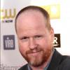 Avengers 2 : Joss Whedon aux commandes de la suite prévue pour 2015