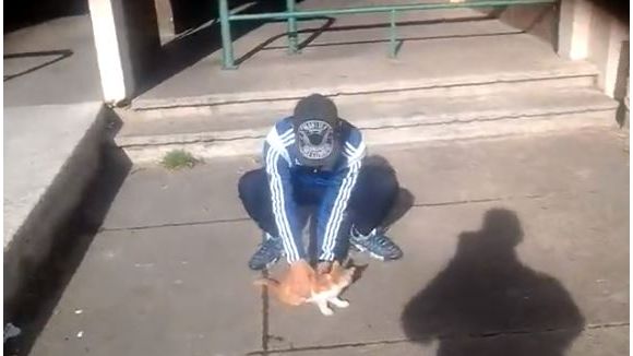 Les internautes se mobilisent sur Facebook contre le Marseillais "tueur de chat"