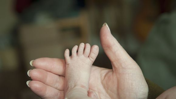 Improbable, elle est enceinte de jumeaux qui ne sont pas les siens