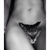 Candice Swanepoel nue : sa photo provoc et sexy avec un chat entre ses jambes