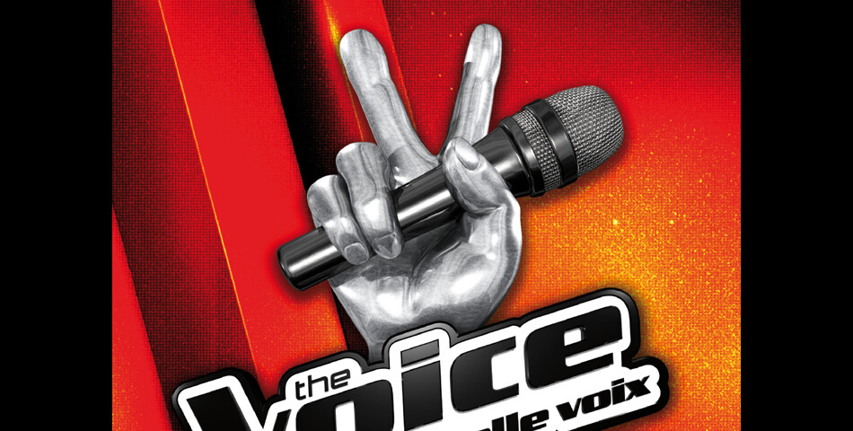 L&#039;affiche du The Voice Tour 2014