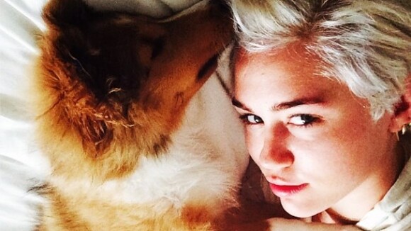 Miley Cyrus retrouve le bonheur grâce à Emu, son nouveau chien