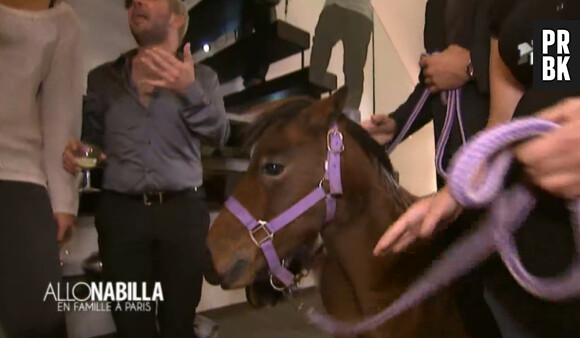 Allo Nabilla : Nabilla Benattia reçoit des poneys en cadeau