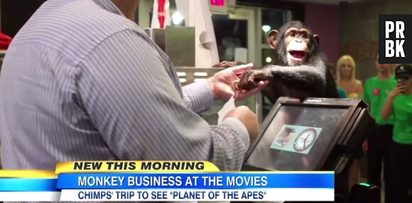 La Planète des singes, l'affrontement : un film qui passionne... les singes