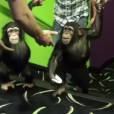  La Plan&egrave;te des singes, l'affrontement : les singes aiment le film 