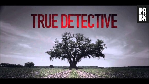La saison 2 de True Detective complète son casting