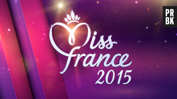 Miss France 2015 : les Miss qui ont fait parler