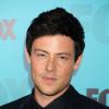 Cory Monteith : sa mort laisse "un vide énorme" dans la famille Glee