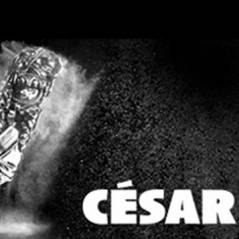 César 2015 nominations : La Famille Bélier, Marion Cotillard, Kristen Stewart nommés
