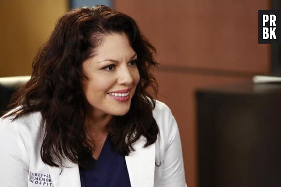 Grey's Anatomy saison 11, épisode 10 : Callie (Sara Ramirez) sur une photo