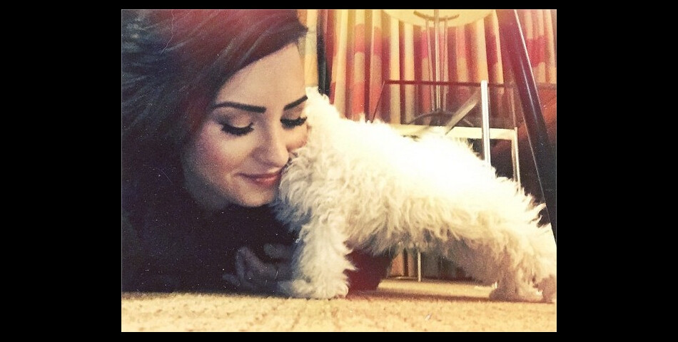  Demi Lovato et son petit chien, re&amp;ccedil;u en cadeau pour No&amp;euml;l 2014 