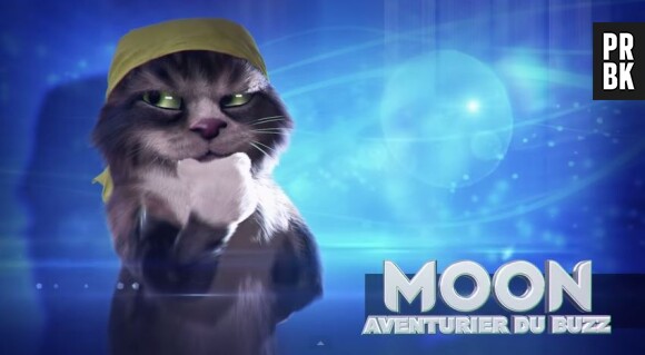 Top Chat : Moon, le chat avanturier, est joué par Moundir