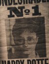  Harry Potter l'Exposition : Harry recherch&eacute; 