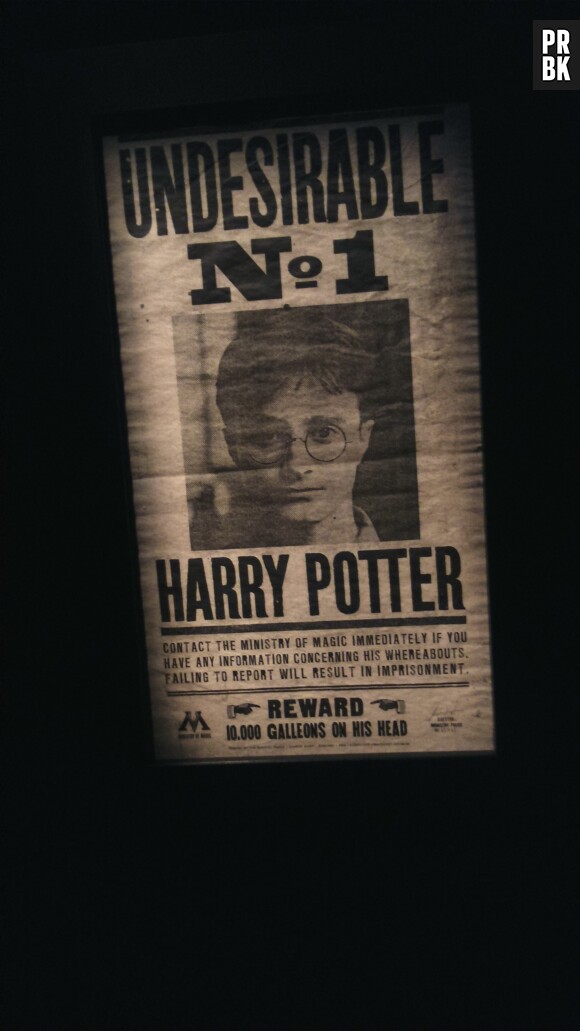 Harry Potter l'Exposition : Harry recherché