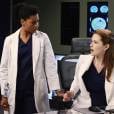 Grey's Anatomy saison 11, épisode 20 : April et Maggie sur une photo
