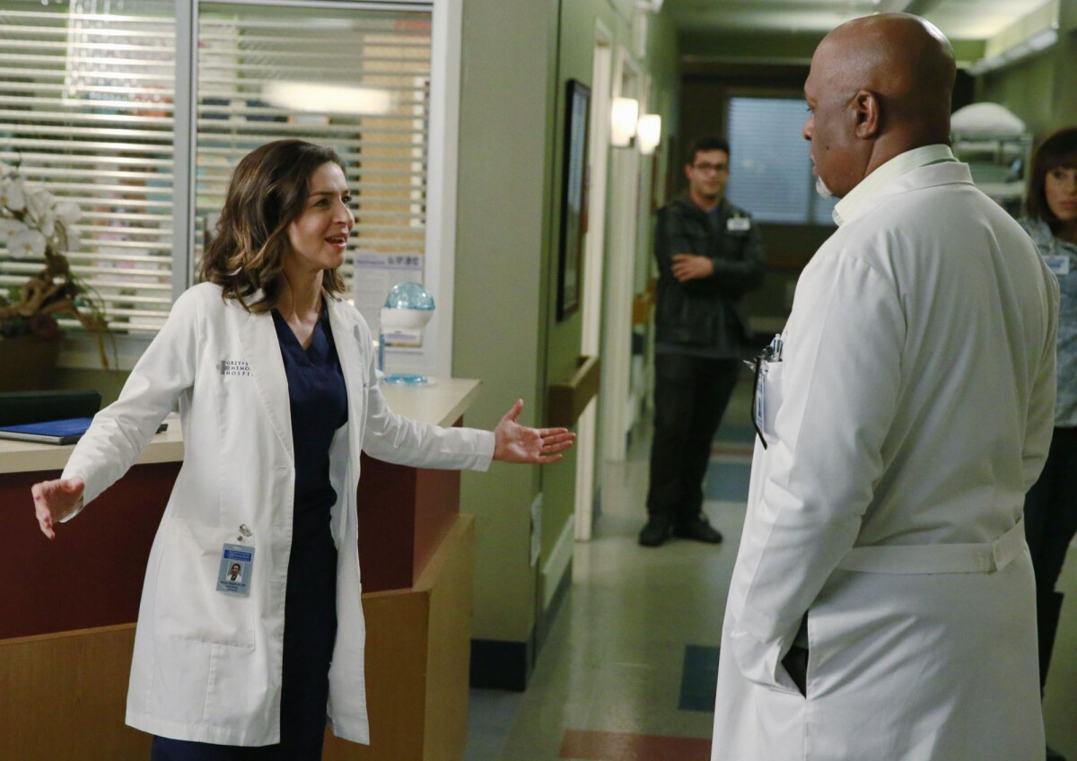 Photo : Grey's Anatomy saison 11, épisode 22 : Amelia (Caterina