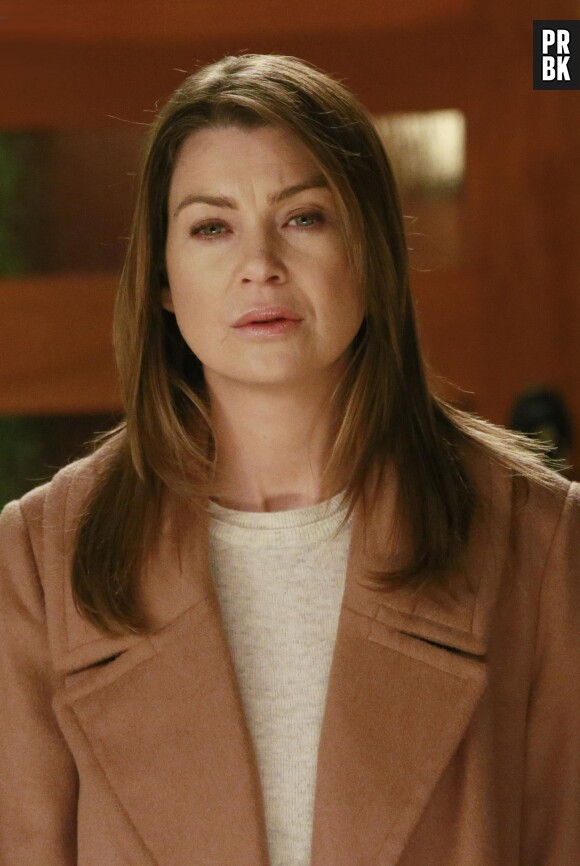 Grey's Anatomy saison 11, épisode 22 : Meredith (Ellen Pompeo) sur une photo