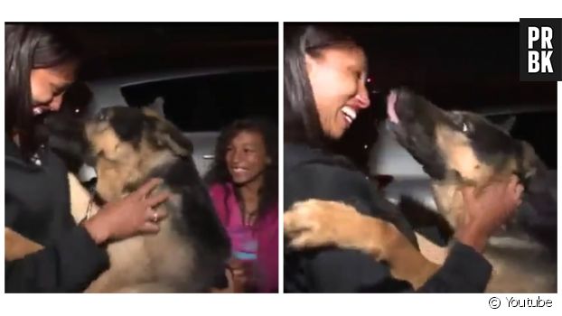 Un reportage de FOX5 sur Andrea Arce et ses filles et leur retrouvailles d&#039;avec leur chien Rico, retrouvé à 4000 kilomètres de chez lui 3 ans après sa disparition.