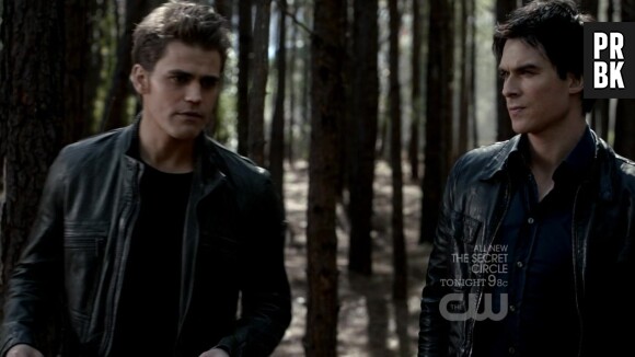 The Vampire Diaries saison 7 : la relation entre Damon et Stefan explorée