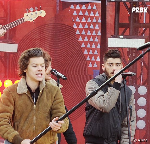 Harry Styles et Zayn Malik pendant un concert de One Direction, le 26 novembre 2013 à New York