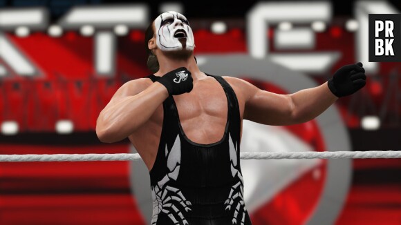 WWE 2K16 est disponible sur consoles depuis le 30 octobre 2015