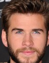 Liam Hemsworth : hommage aux victimes des attentats de Paris sur le tapis rouge d'Hunger Games : la révolte partie 2 à Los Angeles, le 16 novembre 2015