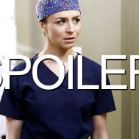 Grey&#039;s Anatomy saison 12 : Amelia et Nathan bientôt en couple ?