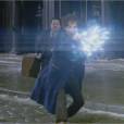 Les Animaux Fantastiques : premières images du spin-off d'Harry Potter
