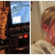 Fatiguée de le regarder jouer, elle éteint la console de son mec... grâce à son chat !