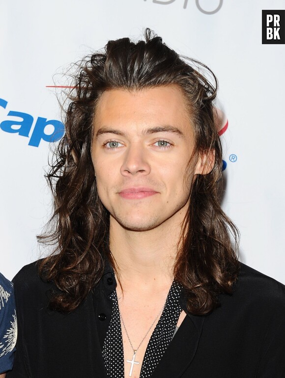 Harry Styles : ses cheveux longs bientôt rasés pour ses débuts au cinéma ?