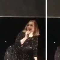 Adele : tentative de twerk délirante en plein concert