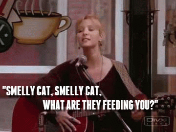 Friends : un secret à découvrir sur Smelly Cat de Phoebe