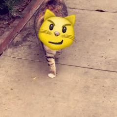 Snapchat : des nouveaux émojis... à réalité augmentée !