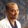 Grey's Anatomy saison 12 : Jesse Williams donne son avis sur le couple April/Jackson