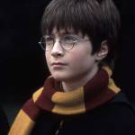 Harry Potter à l&#039;école des sorciers