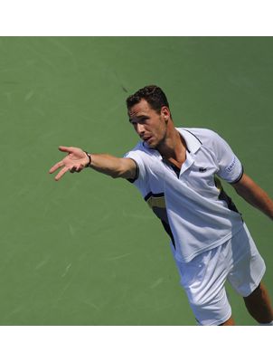 Michael Llodra