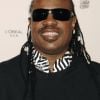 Stevie Wonder