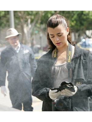 Cote de Pablo